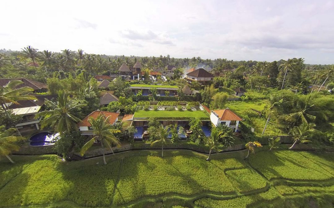 GREEN UBUD