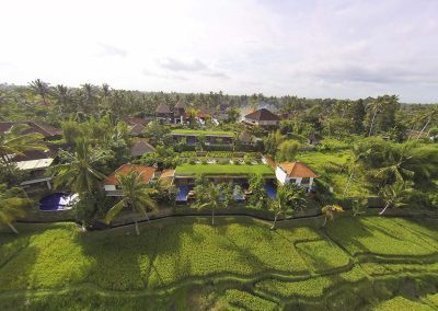 GREEN UBUD