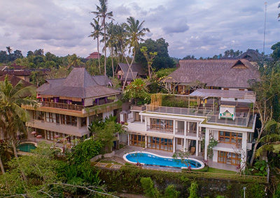 GREEN DRAGON LIVING